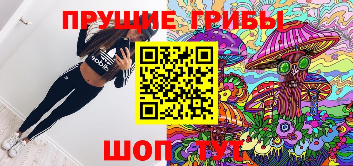 купить наркотик  Вход с VPN  Тимашёвск  Псилоцибиновые грибы GOLDEN TEACHER 