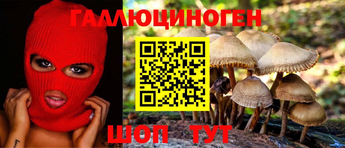 Галлюциногенные грибы GOLDEN TEACHER Тимашёвск